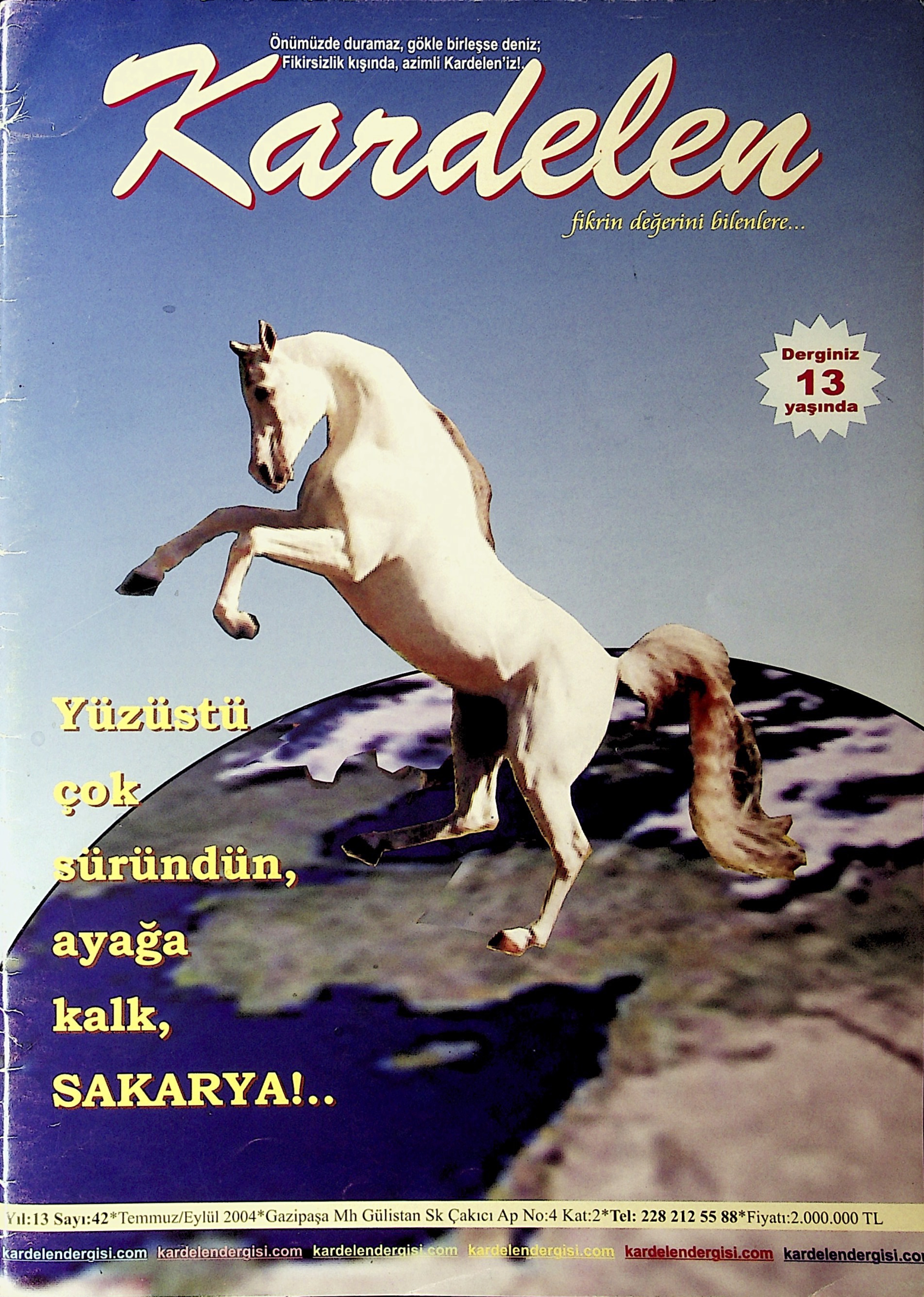 42. Sayı Kapağı