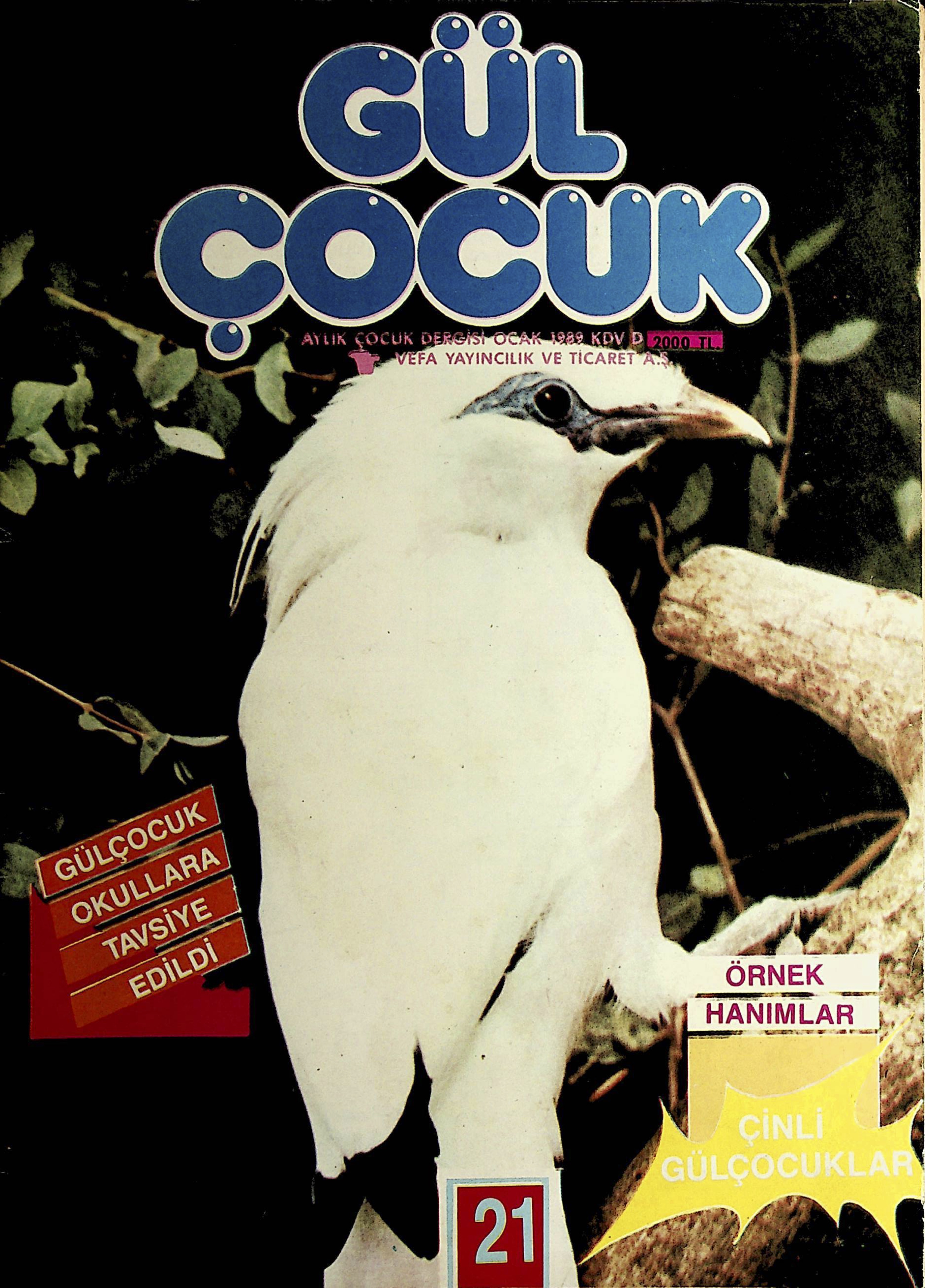 21. Sayı Kapağı