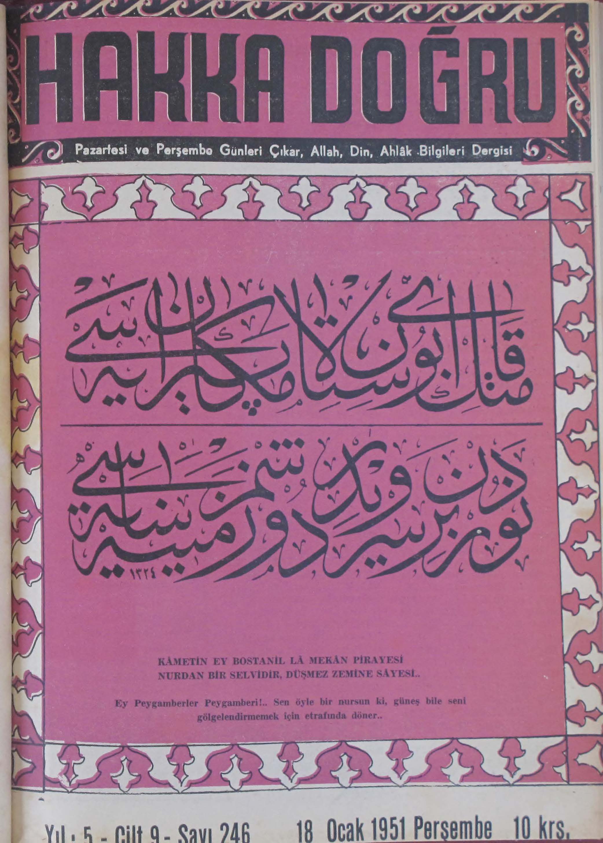 9. Cilt 246. Sayı Kapağı