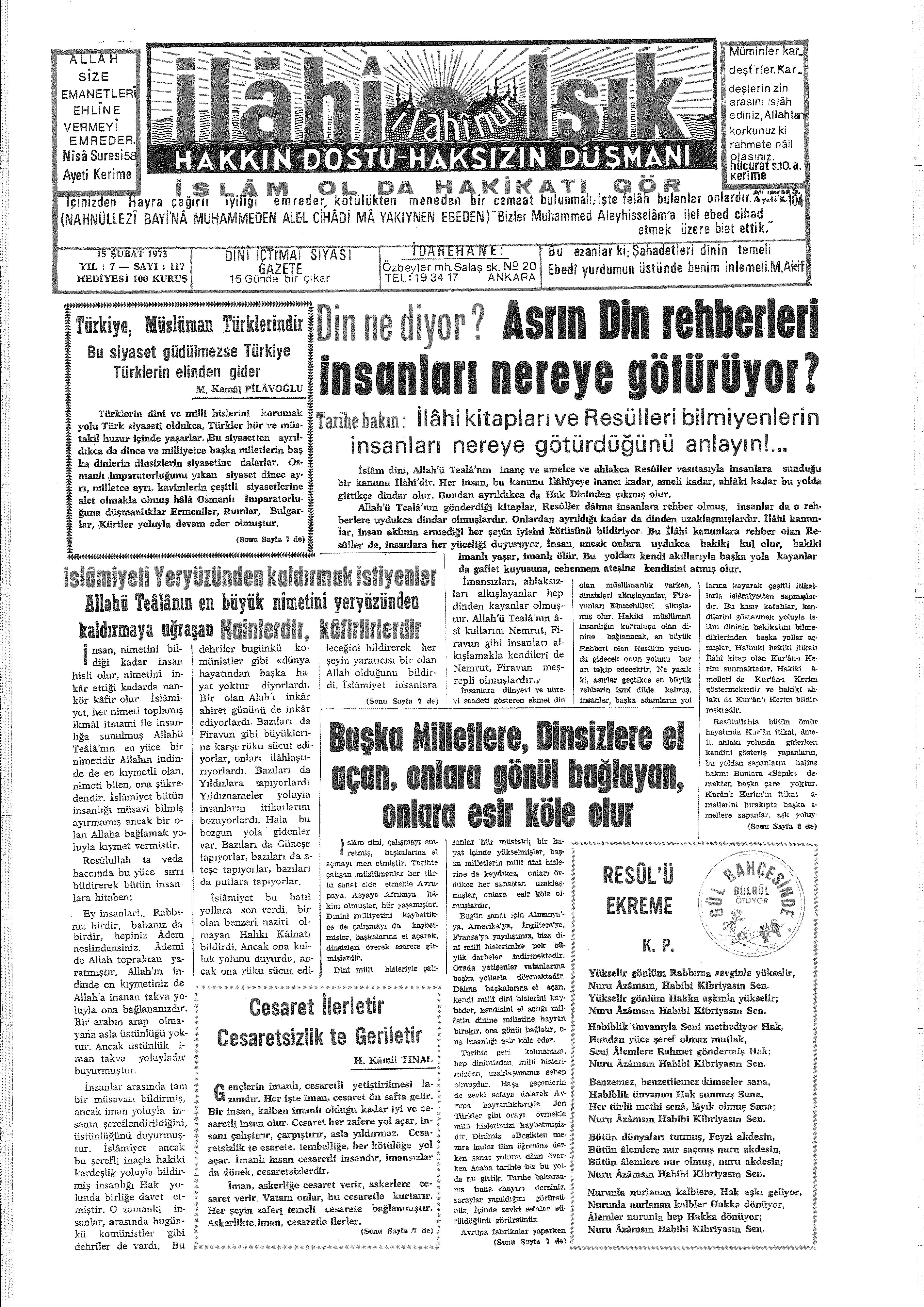 7. Cilt 117. Sayı Kapağı