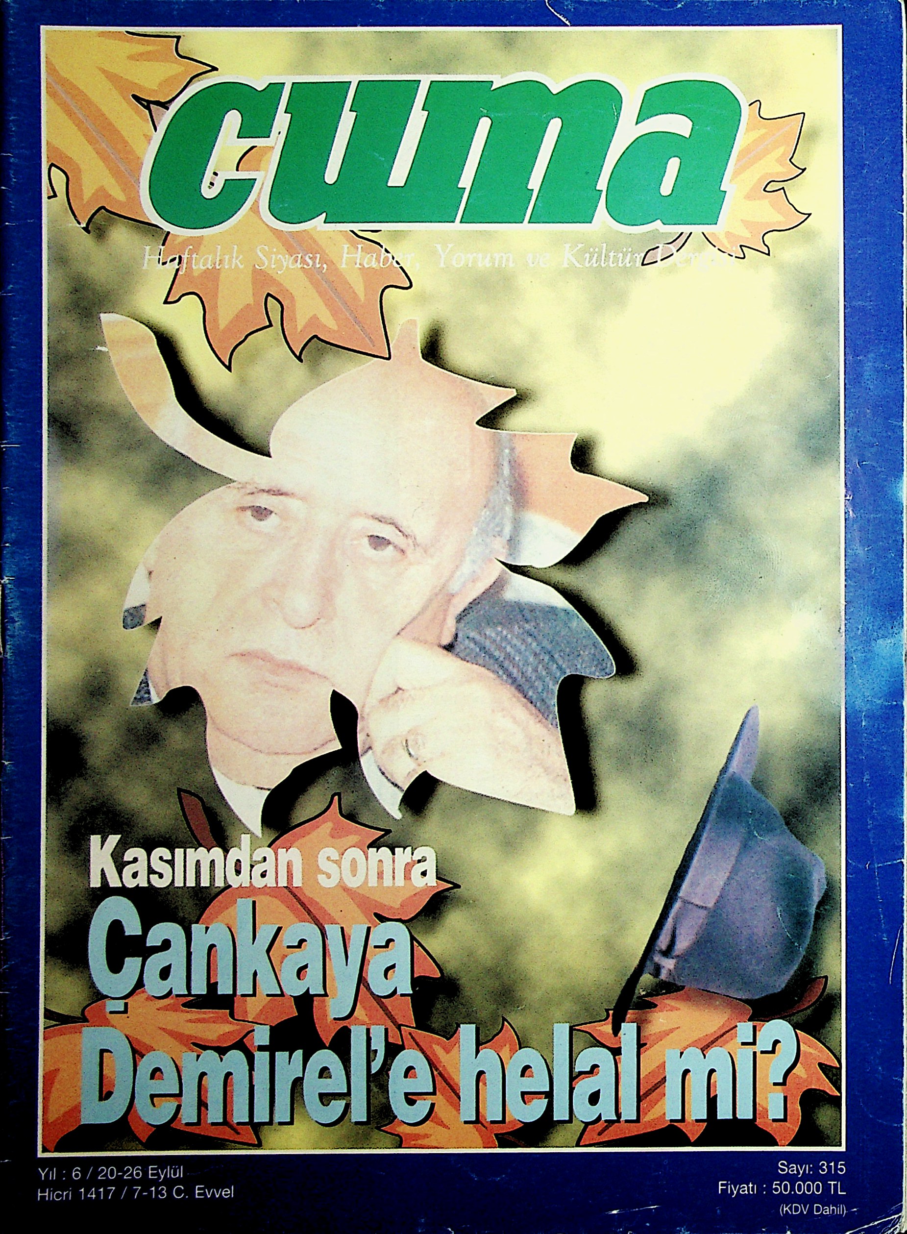 1. Cilt 315. Sayı Kapağı