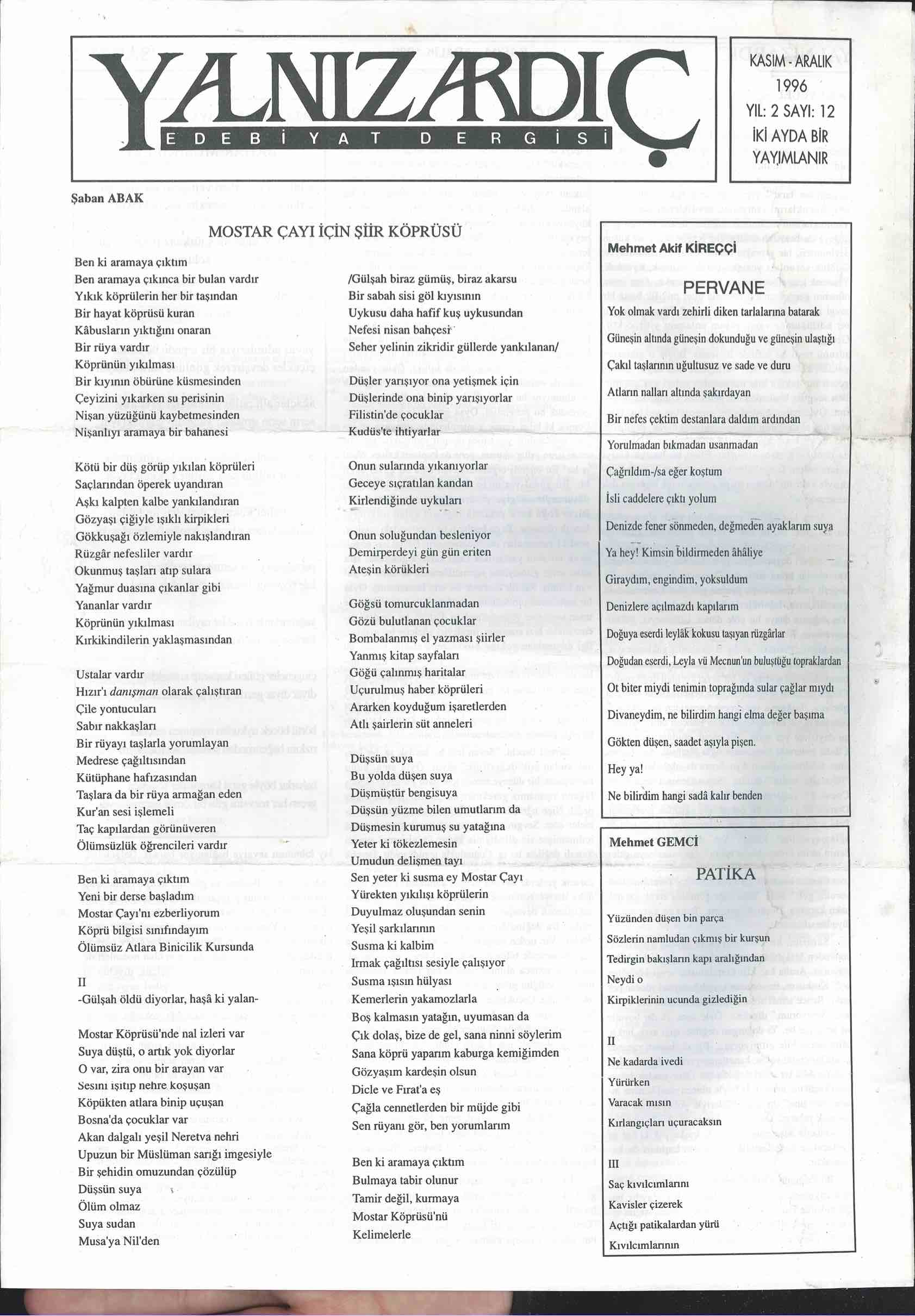 Yalnız Ardıç Kapak