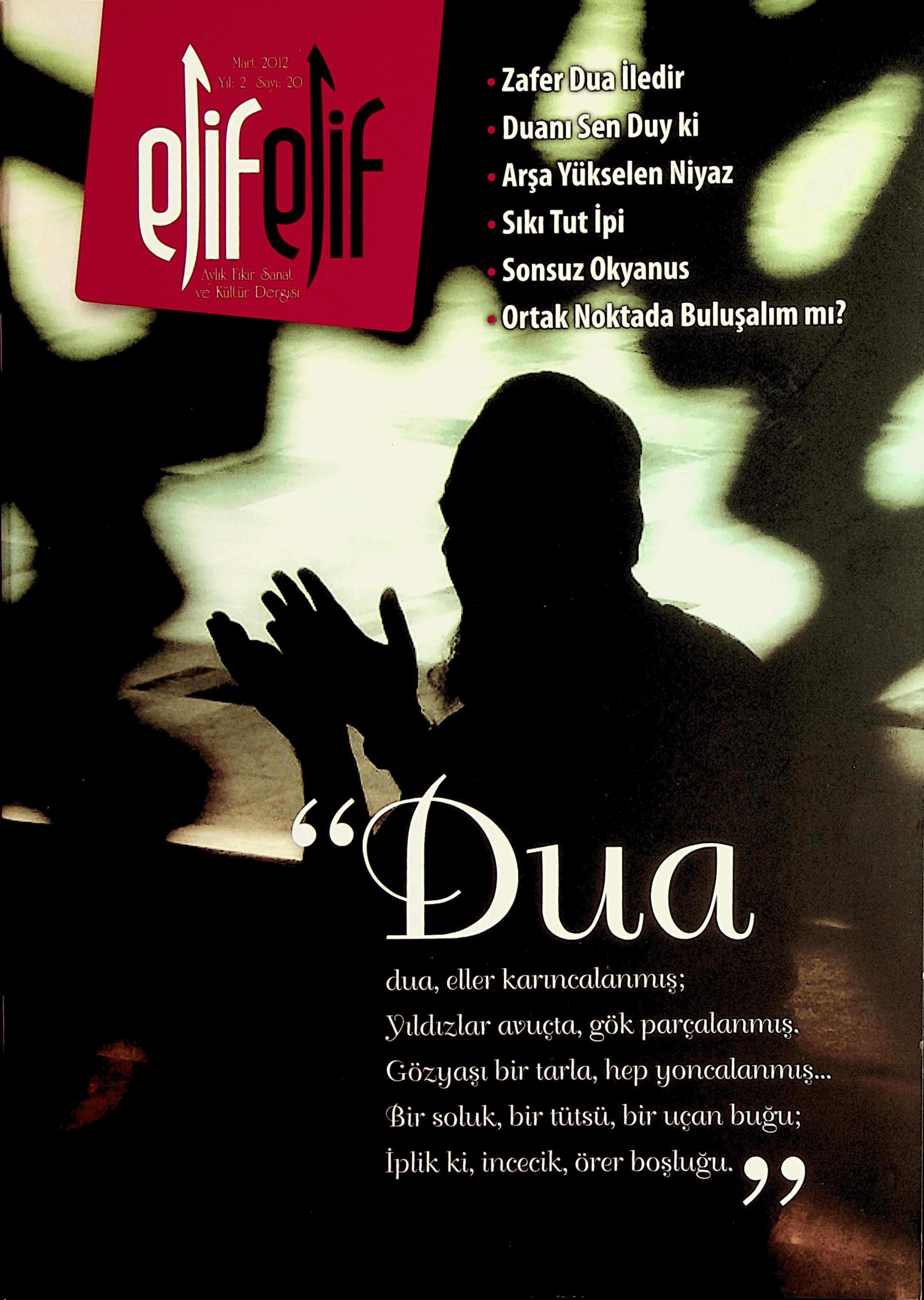 20. Sayı Kapağı
