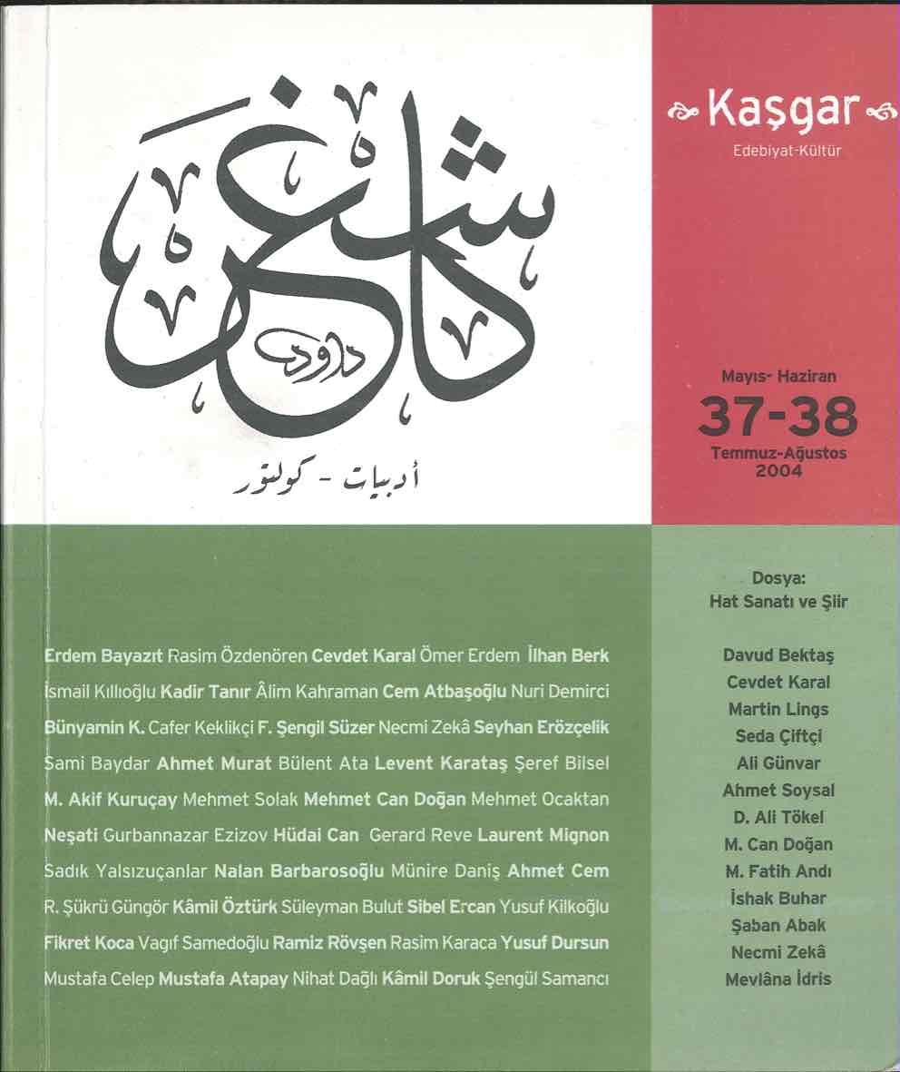 37-38. Sayı Kapağı