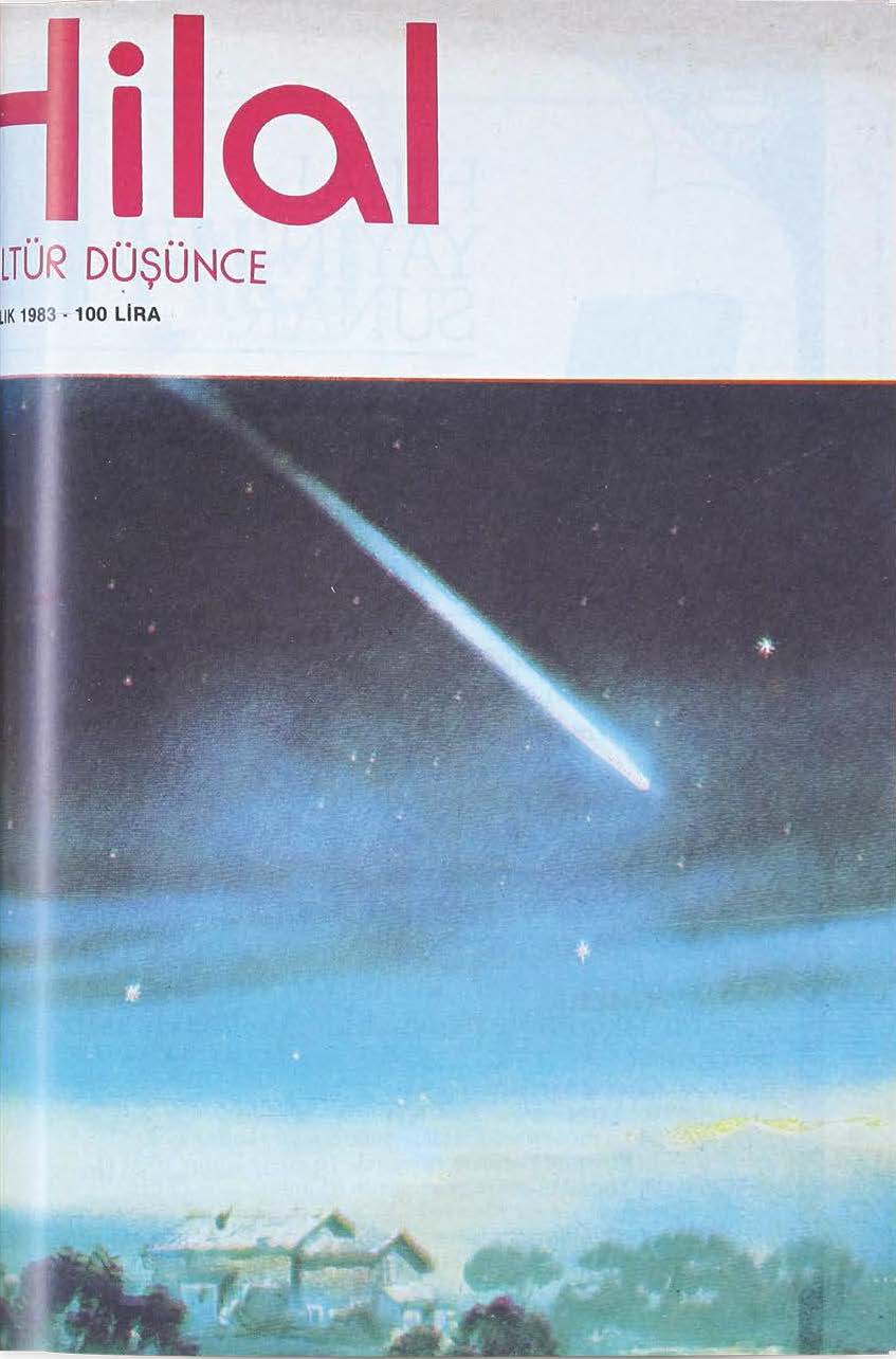 21. Cilt 251. Sayı Kapağı