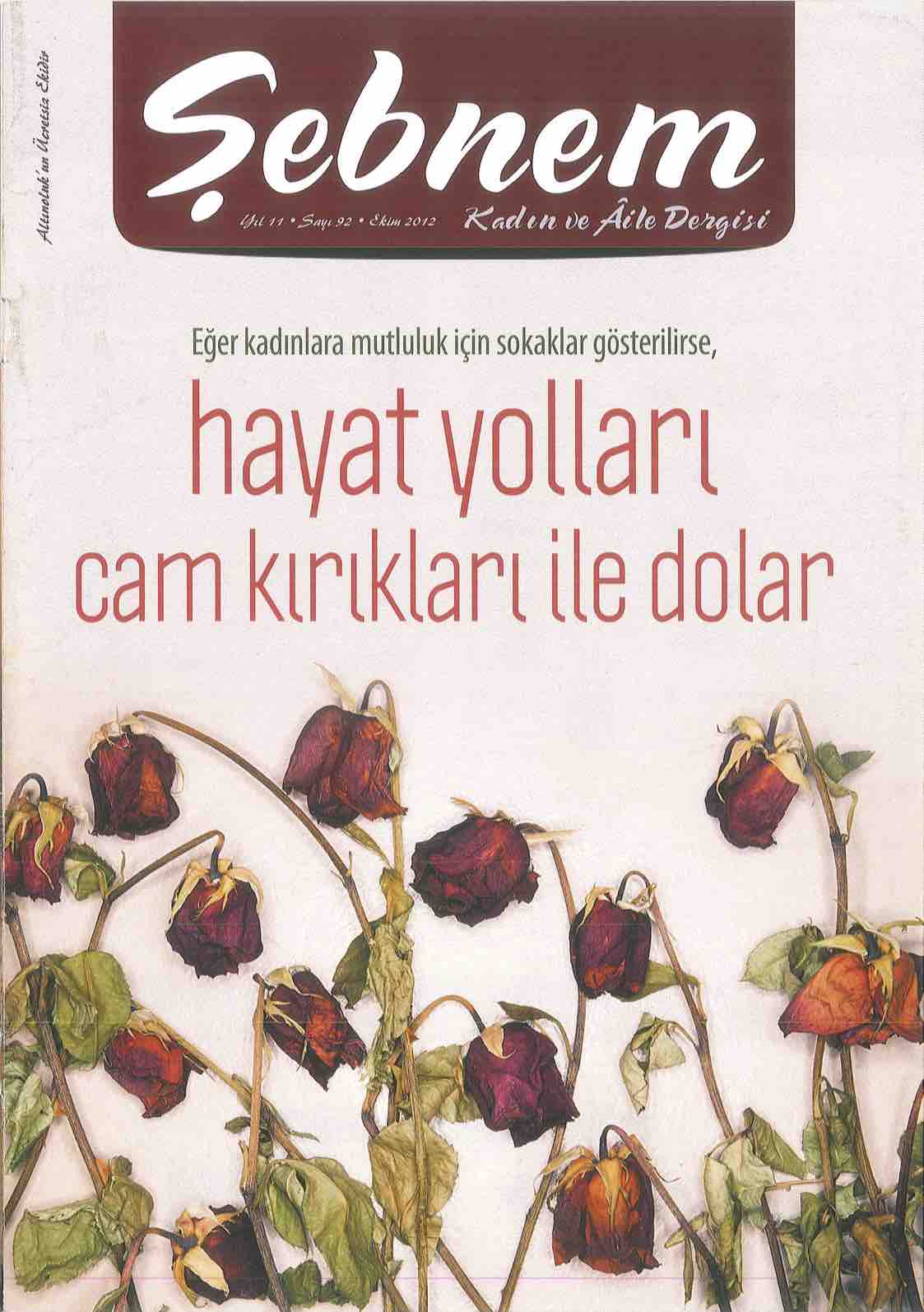 Sayı Kapağı