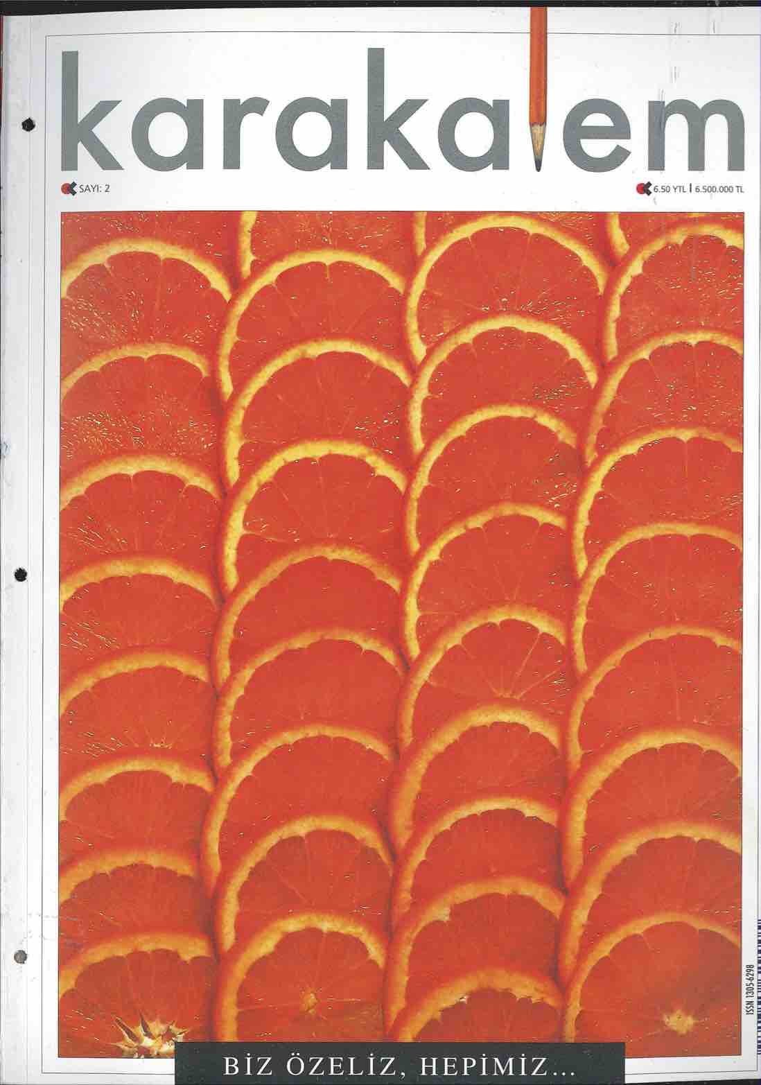 2005. Cilt 2. Sayı Kapağı