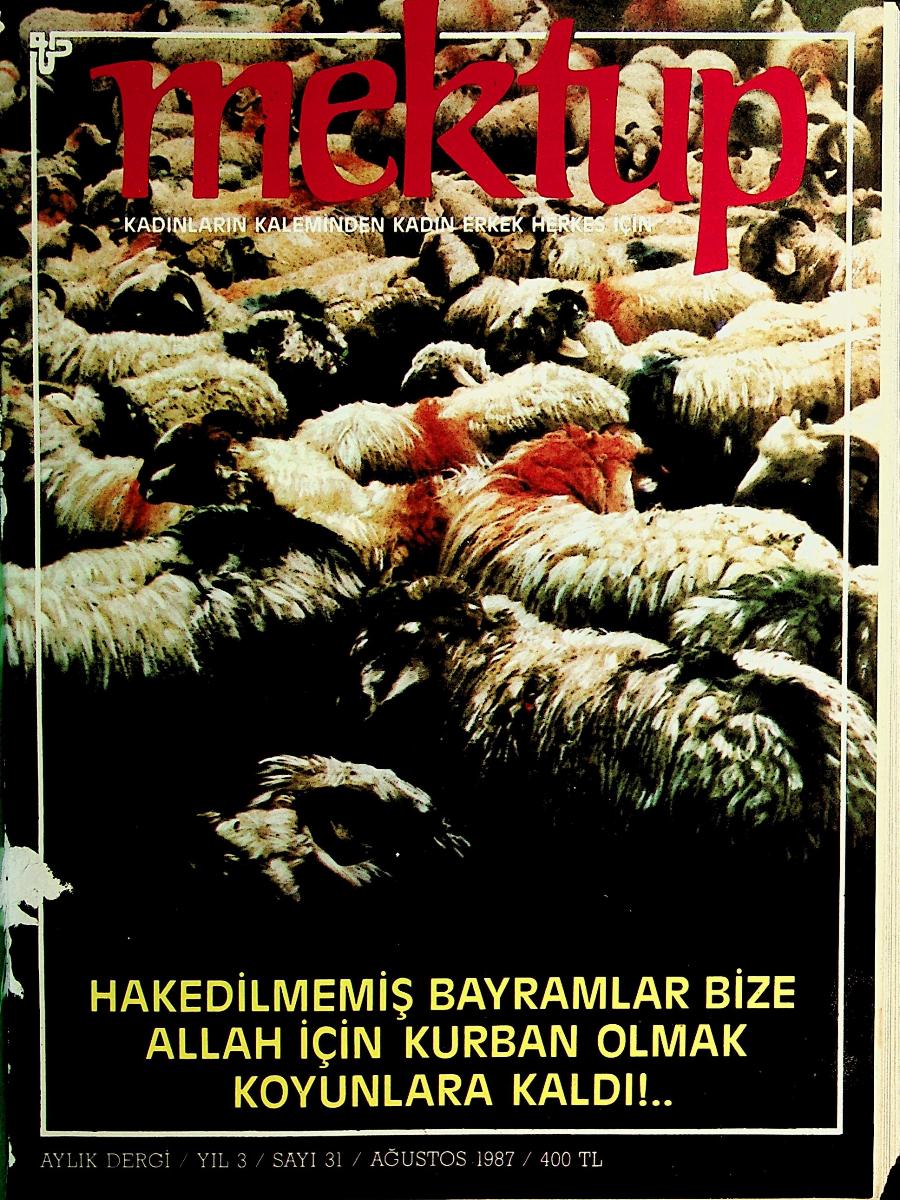 31. Sayı Kapağı