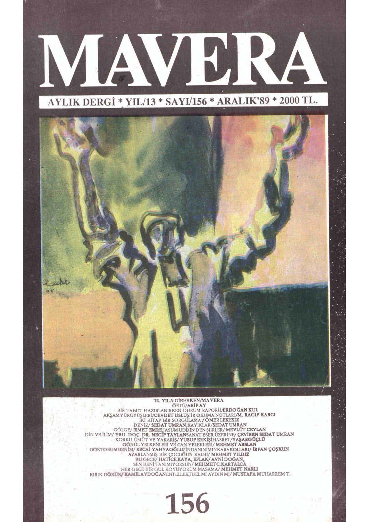 13. Cilt 156. Sayı Kapağı
