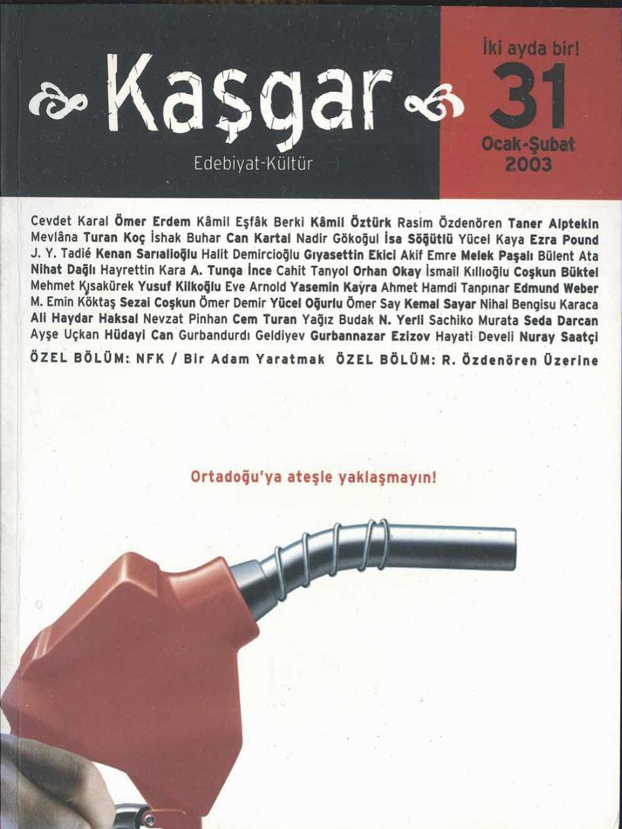 31. Sayı Kapağı