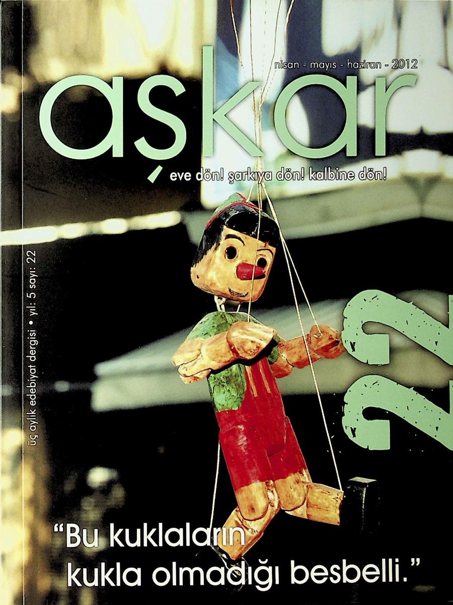 22. Sayı Kapağı